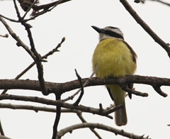 IMG_8890a